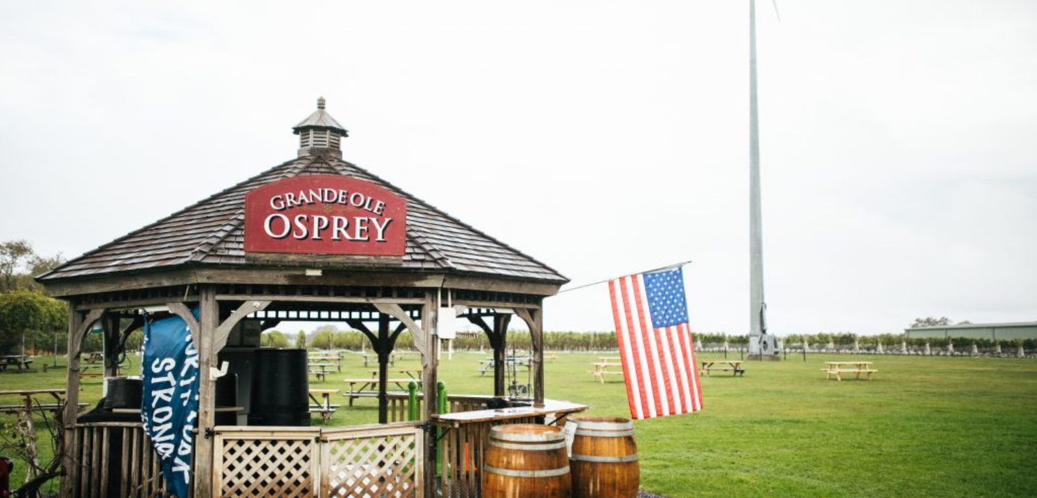 Osprey-Dominion-Vineyard